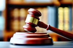 青年律师扶持政策，引领法律职业新未来