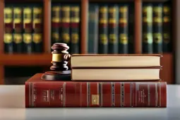 律所品牌打造与法律文书写作的完美融合