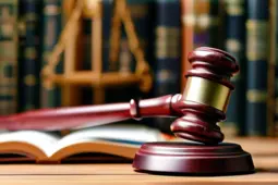 打造专业律所，上诉状模板的重要性与实践