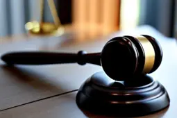 题，律师惩戒办法解读，新时代下的法律职业规范与执业环境