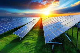 光伏海外项目，政策导向与市场动态