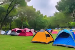 公园露营，95后00后的社交新宠与亚文化探索