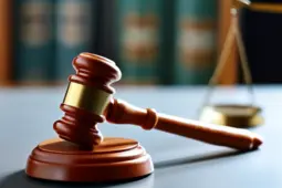 法律界的新星，青年律师的成长之路与知识产权的守护者