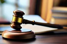 律师谈案技巧，青年律师成长与专业技能提升攻略