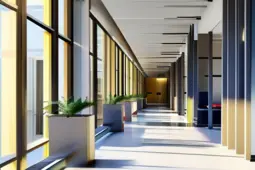 95后、00后学生的学业与职业发展之路