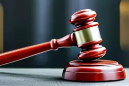 律师职业资讯，全岗位招聘/就业指南，法律业务方向与案源拓展技巧