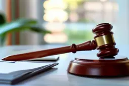 法律与财税领域的青年律师成长攻略