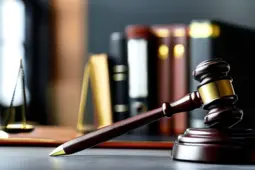 律师职业规划与成长，迈向专业巅峰的职称之路