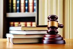 零基础法考攻略，从零开始迈向法律职业的全攻略