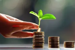 手把手教你从0到1启动项目，打新债步骤详解