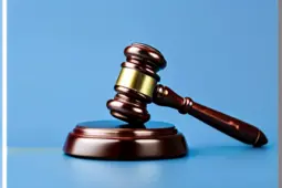 律师办理行政案件规范，最新政策解读与实务指南