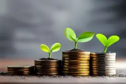 揭秘副业与理财中的常见骗局，教你如何理性判断与保护你的财富