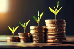 应届生如何利用低门槛副业和全类型理财实现财务自由？