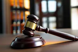 青年律师扶持政策，引领法律服务新未来