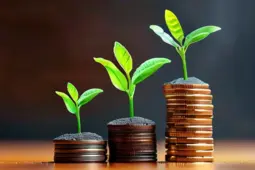 掌握收益优化技巧，从赚小钱到稳定盈利