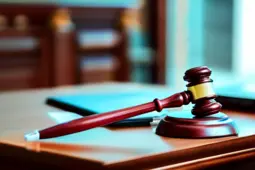 刑事会见服务，律师职业发展的新机遇与挑战