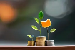 揭秘副业与理财中的常见骗局，守护你的财富安全