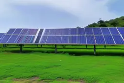 储能海外项目，国内外政策导向与市场动态解析