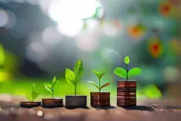 私域变现，从赚小钱到稳定盈利的秘诀