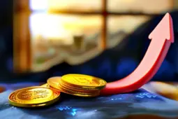 掌握流量获取与私域运营的艺术，实现从赚小钱到稳定盈利的华丽转变