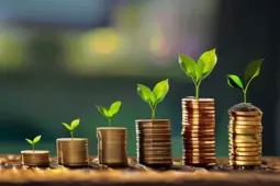 从赚小钱到稳定盈利，理财变现的秘诀