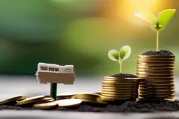 揭秘副业与理财中的常见骗局，如何保护你的财富安全？