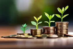 掌握客户管理的艺术，从赚小钱到稳定盈利