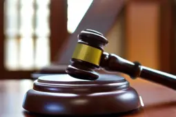 行政诉讼代理，青年律师的成长之路与专业技能提升攻略