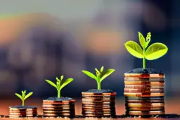 打造稳定盈利模式，从赚小钱到稳定盈利的秘诀