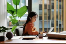 95后、00后青年的创业与副业指南，掌握私域转化，打造你的线上财富增长引擎