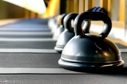 健身之路，我的打卡、训练营与成果分享之旅