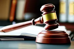 律师职业资讯，全岗位招聘/就业指南，法律业务方向与案源拓展技巧