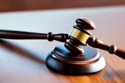 律师庭审技巧，青年律师成长的必备利器