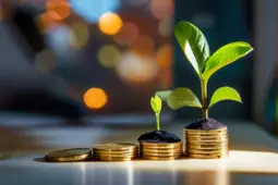 轻松入门，如何通过低门槛副业和全类型理财，实现你的财务自由