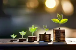 掌握粉丝经济，实现从赚小钱到稳定盈利的华丽转变