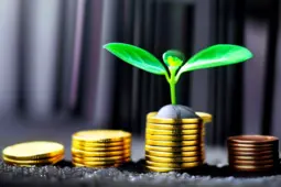 揭秘副业与理财中的常见骗局，资金冻结的防范之道