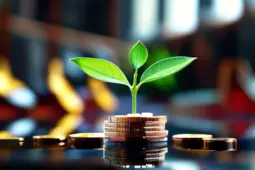 打造私域流量，实现稳定盈利—从赚小钱到稳定盈利的秘诀