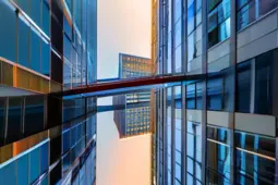 公司律师管理办法解读，新时代下的法律服务新动向