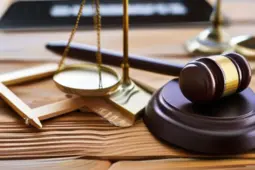 青年律师的成长之路，知识产权实务与职业规划