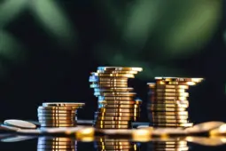 从零到一，手把手教你用PR和必剪工具启动赚钱项目