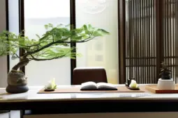 职场礼仪之道，营造和谐办公氛围