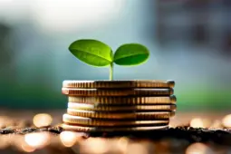 掌握运营技巧，实现从赚小钱到稳定盈利的华丽转变