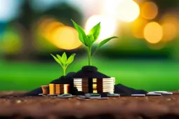 副业运营，从赚小钱到稳定盈利的秘诀