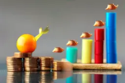 掌握收益最大化的艺术，从赚小钱到稳定盈利的秘诀