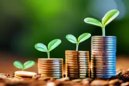 货币基金入门指南，新手友好的低门槛副业与全类型理财选择