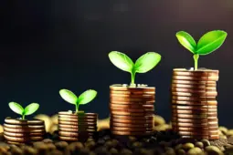 增收节支，从赚小钱到稳定盈利的秘诀