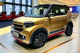 题，全面解析，如何挑选最适合您的代步车