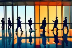 职场礼仪，构建高效协作的桥梁