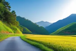 副业运营，从零开始到稳定盈利的秘诀