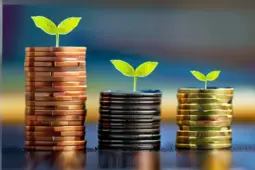 运营技巧，从赚小钱到稳定盈利的秘诀